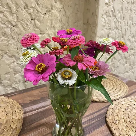 La Casa De Allá 2 Apartamento *